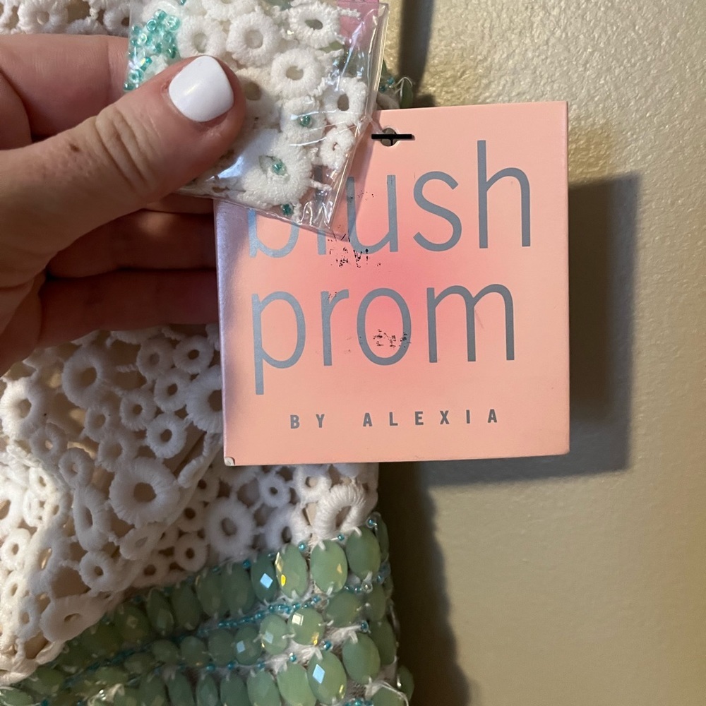 Blush Prom Crochet Jeweled Collared Mini Dress NWT - Picture 3 of 9